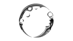 Moon Skin